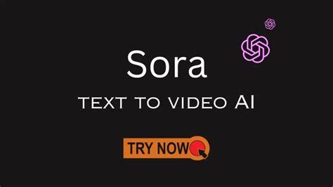 is the sora test hard|try sora for free.